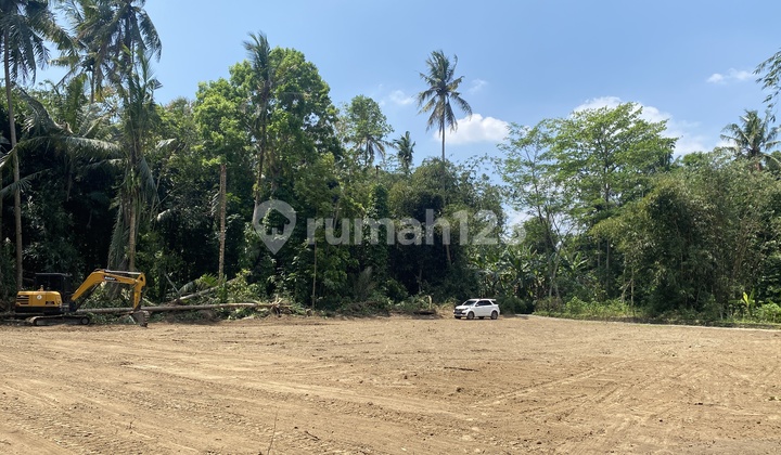 Tanah Sleman Cicilan 0% di Tridadi Kawasan Pemda