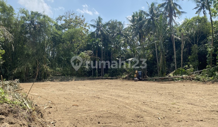 Dijual Tanah Murah Sleman Tridadi SHM Ready