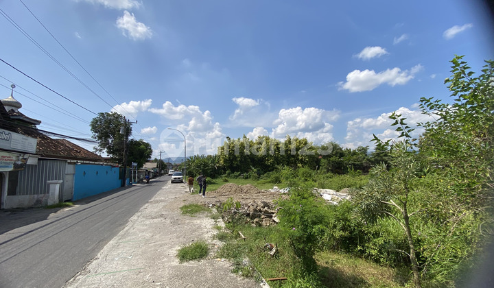 Tanah Tropis di Kota jogja Buat Rumah Impian