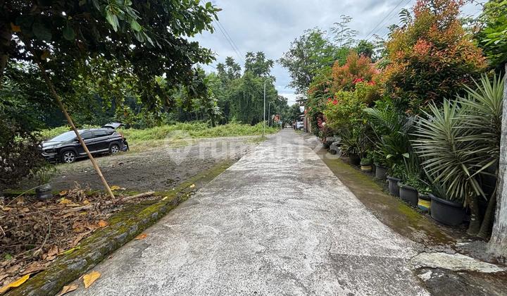 Siap AJB! Tanah SHM Lingkungan Nasionalis Area Pemda Sleman Siap AJB! Tanah SHM Lingkungan Nasionalis Area Pemda Sleman