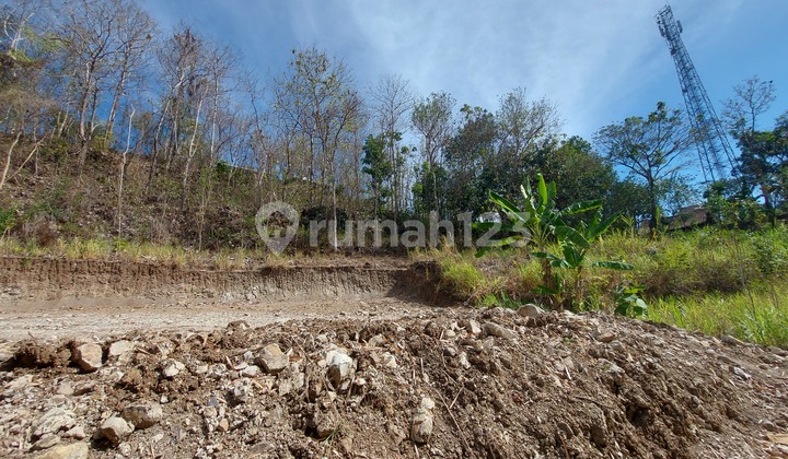 SHM Ready! Tanah Hunian/Investasi Strategis di Pleret Bantul