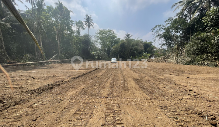 Affordable Land with SHM in Tridadi Sleman near Magelang Street