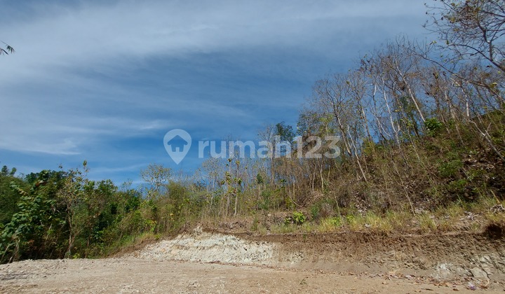 Tanah Cocok untuk Vila Bernuansa Bali di Bantul