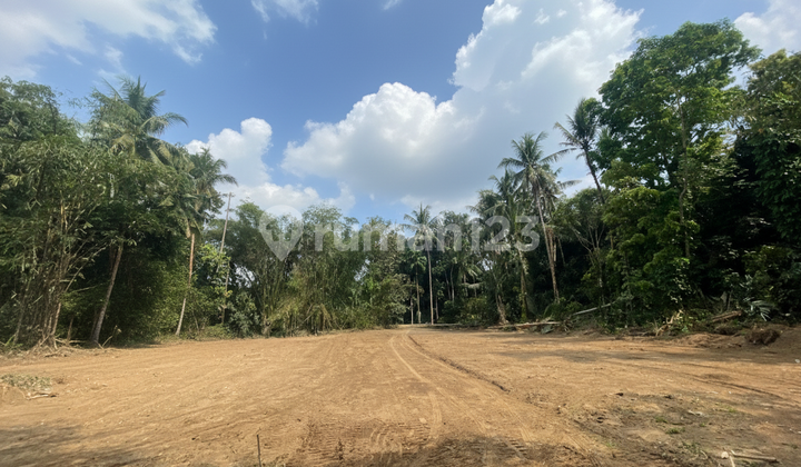 Sleman Regency Government Land Starting from 2 Million/m Negotiable