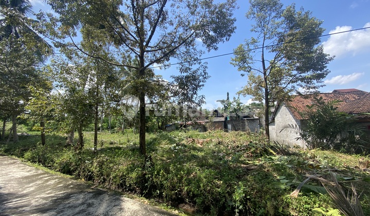 Tanah Jogja Dengan View Sawah yang Indah di Palagan