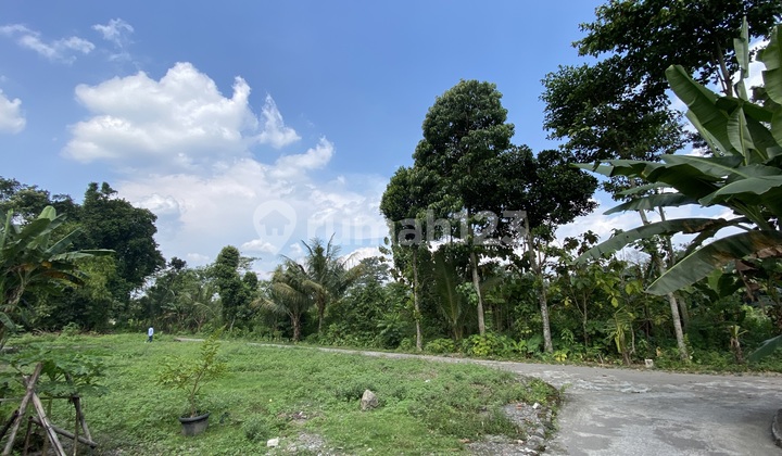 Tanah Jogja SHM Siap Balik Nama 