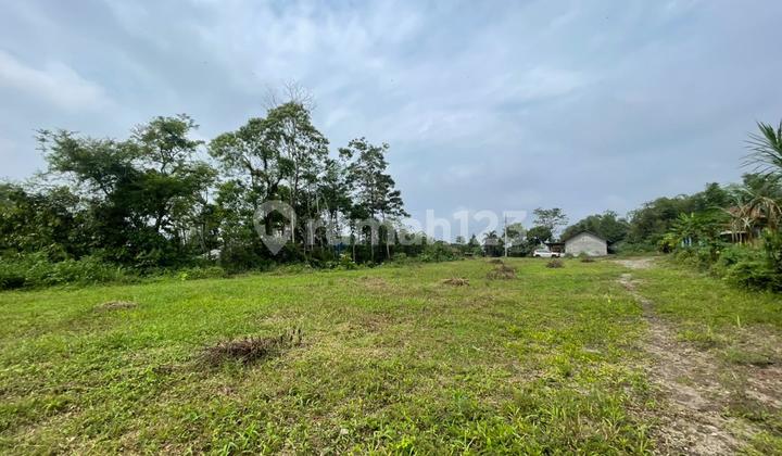 Tanah SHM Dekat Tempat Wisata Jogja, Lokasi Oke Banget!