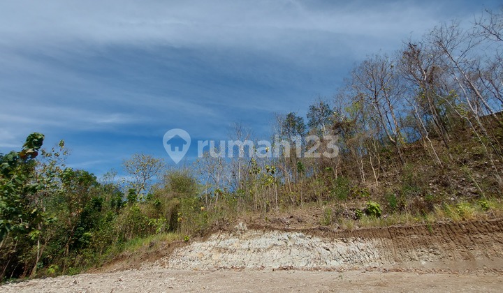 Tanah Murah di Jogja Premium Dekat Lingkungan Tropis