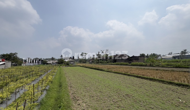 Dijual Tanah Strategis Dekat Pasar Sleman