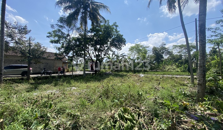 Tanah Palagan 2 Jutaan Aja dengan View Sawah, Tinggal 1 Unit!