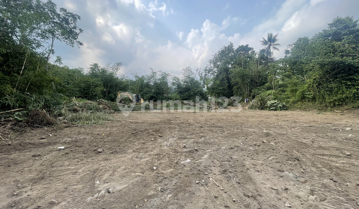 Land in Jogja, 3 km from Kopi Klotok Jogja. Land in Jogja, 3 km from Kopi Klotok Jogja.