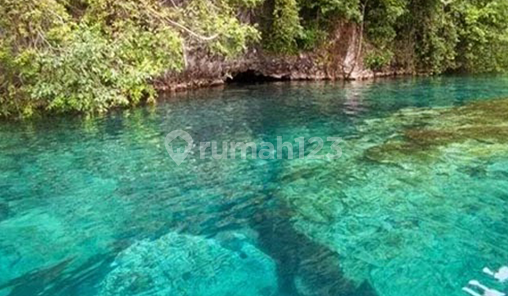 Tanah Sleman Siap AJB & Balik Nama Mulai 2 jutaan/m Nego