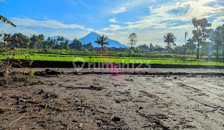 Tanah Palagan View Merapi Mulai 3 jutaan/m Nego