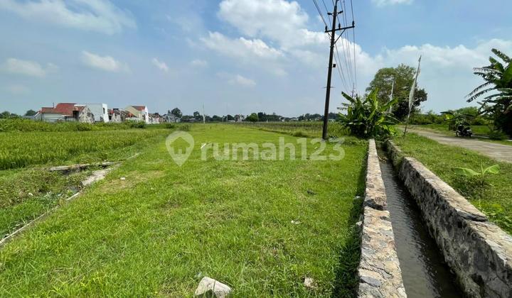 Kavling SHM Godean Hunian Minimalis dengan Nilai Investasi Baik Kavling SHM Godean Hunian Minimalis dengan Nilai Investasi Baik