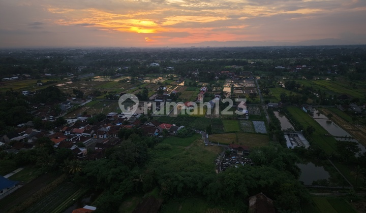 Kavling SHM Tropis dengan Vibes Liburan Tiap Hari di Purwomartani Kavling SHM Tropis dengan Vibes Liburan Tiap Hari di Purwomartani