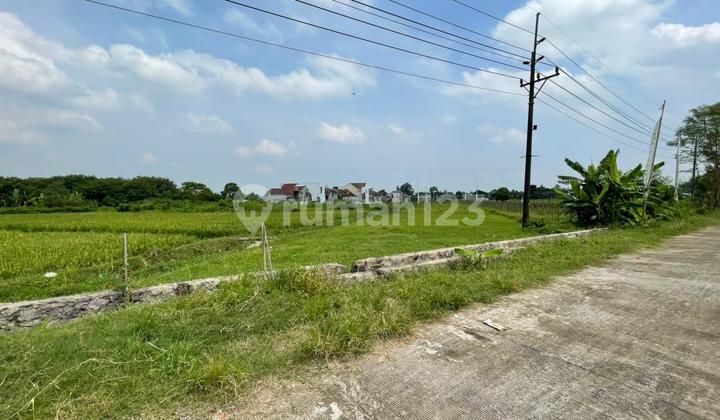 Lahan AJB Bernilai Tinggi di Daerah Sejuk Sleman Jogja Lahan AJB Bernilai Tinggi di Daerah Sejuk Sleman Jogja