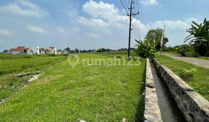 Tanah SHM Ideal Hunian Private Minimalis 5 Menit Ringroad Tanah SHM Ideal Hunian Private Minimalis 5 Menit Ringroad