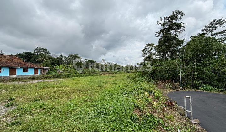 Tanah SHM Luas Sejuk dan Asri di Sleman dan Prambanan Tanah SHM Luas Sejuk dan Asri di Sleman dan Prambanan