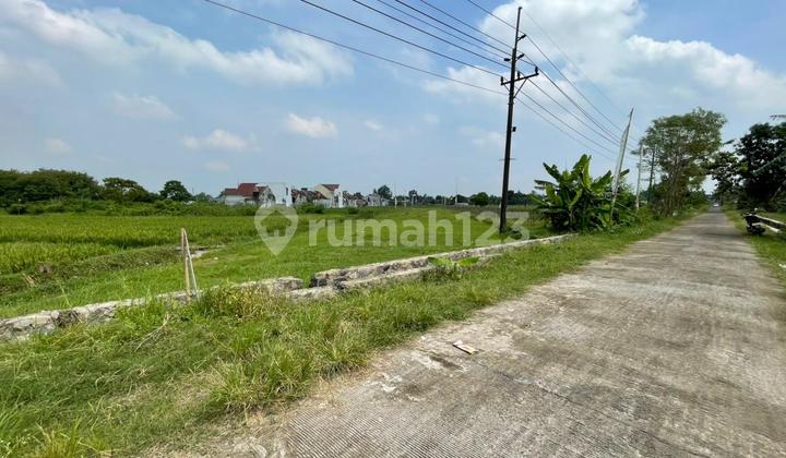 Tanah SHM Sleman Pilihan untuk Villa dan Hunian Tanah SHM Sleman Pilihan untuk Villa dan Hunian