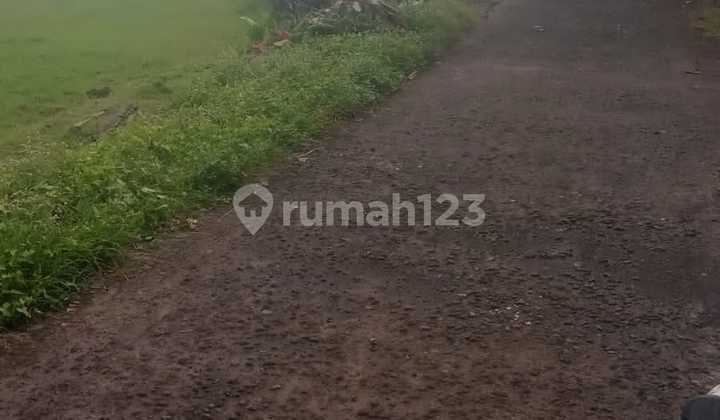 Di Jual Cepat Lahan Exclusive. Kontur Tanah Datar Tp Lebih Rendah Dari Posisi Jln. Informasi Tata Ruang Zona Hijau. Hrg Terjangkau Krn Zona Hijau, Utk Itr Kuning Hrg Pasaran Dilokasi Sdh Capai 500jt/100m² Ayo Buruan Lokasi Tiada Duanya