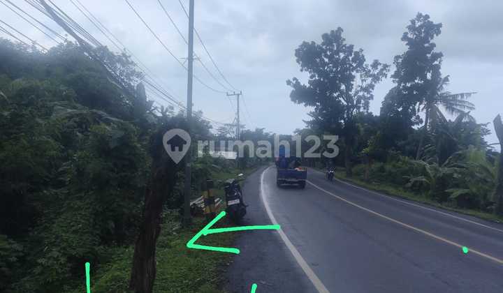 Strategic Location for All Kinds of Businesses Including Culinary Ventures