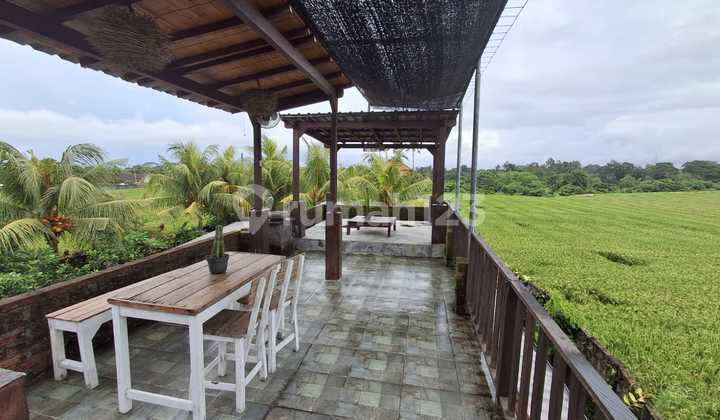 Di Kontrakkan Villa Dengan Tempat Hunian Yang Tenang Dan Lingkungan Persawahan Dan Villa Sekeliling Udaranya Segar Bebas Polusi Cocok Buat Orang Yang Benar Banar Membutuhkan Kenyamanan .jauh Dari Kebisingan.yaman