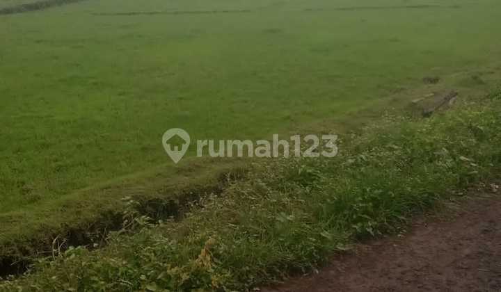 For Sale: Exclusive Land. Flat Terrain but Lower Than Road Level. Green Zone Spatial Planning Information. Affordable Price Due to Green Zone, for Yellow Zone ITR Market Price in the Area Has Reached 500 Million/100m². Hurry, Location is One of a Kind.