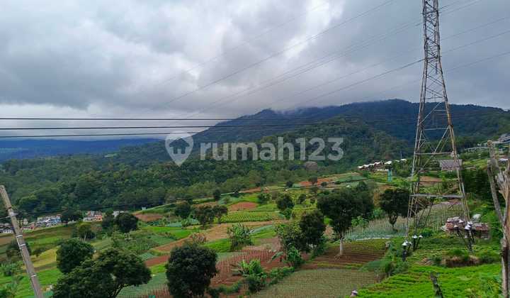 Tanah di Puncak Zona Komersial Jalan Raya Utama Puncak