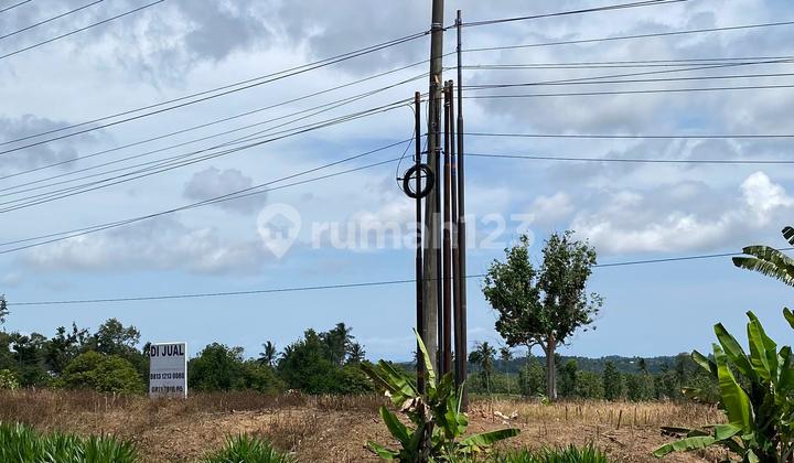 Tanah Kurang Lebih 5 Hektare - Bandar Dalam, Lampung Selatan