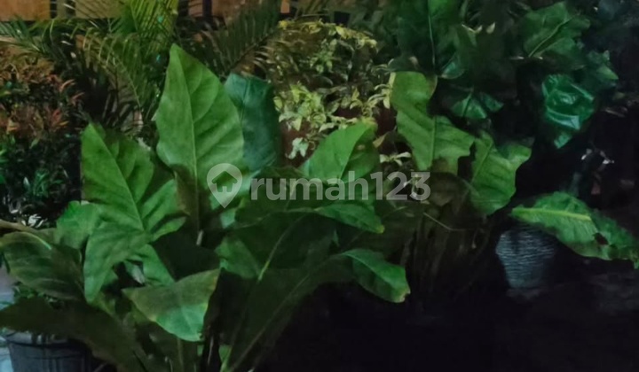 Rumah Petukangan Utara Pinggir Jalan 2