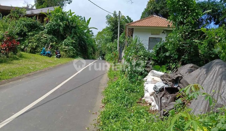 Rumah Minimalis Dekat Air Terjun  2