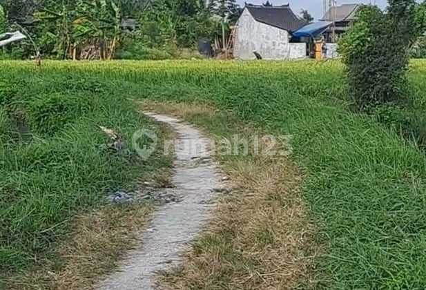 Land Near Yeh Gangga Beach Close to Waka Gangga Resort