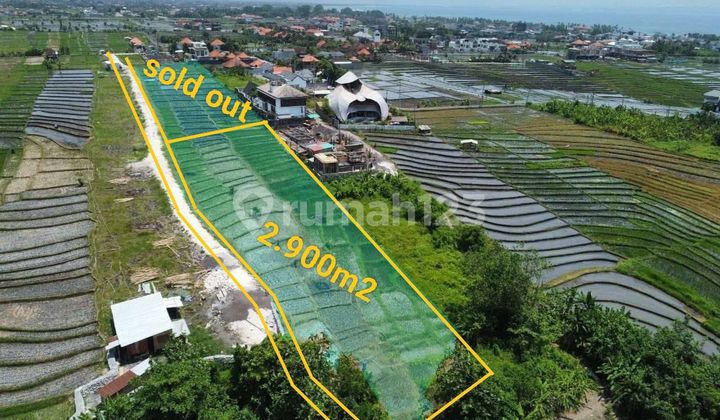 Leasehold 500 Meters From The Cemagi Beach Leasehold 500 Meters From The Cemagi Beach