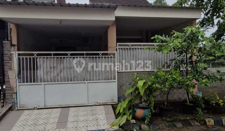 Rumah Siap Huni Lt.72 SHM Dreaming Land Pakal Surabaya Rumah Siap Huni Lt.72 SHM Dreaming Land Pakal Surabaya