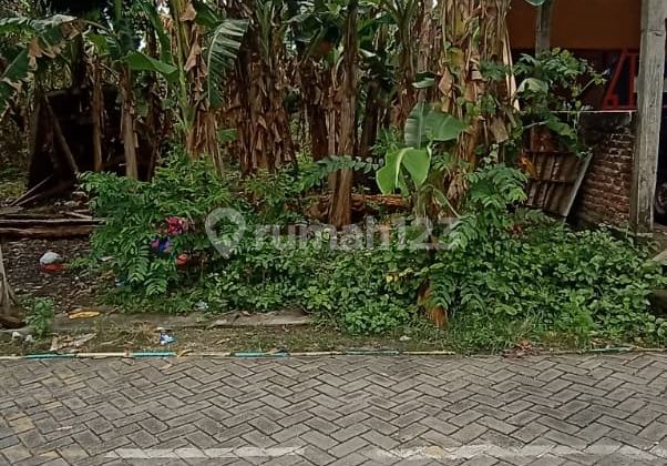 Dijual Tanah Siap Bangun SHM Driyorejo Gresik Dijual Tanah Siap Bangun SHM Driyorejo Gresik