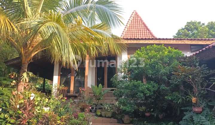 Rumah Joglo Hook Luas Tanah 935 m² Dijual di Kalibata Jaksel