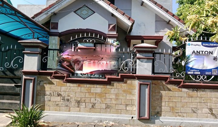 Disewakan Rumah 1,5 Lantai Siap Huni Di Pondok Jati Sidoarjo Disewakan Rumah 1,5 Lantai Siap Huni Di Pondok Jati Sidoarjo