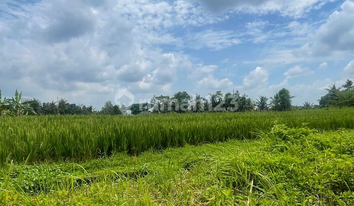 For Sale Cheap Land In Kerambitan Tabanan