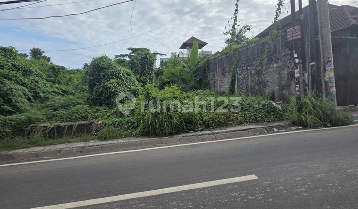 Leasehold Premium Land Main Road In Canggu Berawa