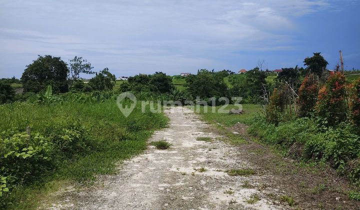 Forsale Land In Pererenan Pink Zona Complex Villa