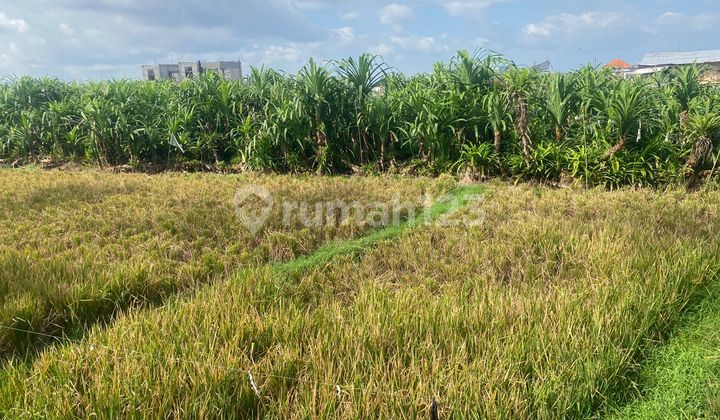 Leasehold Main Road Land In Tumbak Bayuh Good For Business