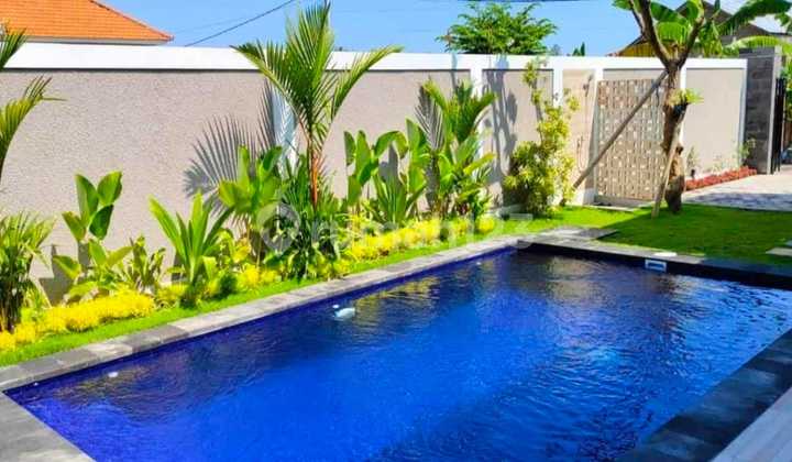3 Bedroom Villa in Lovina with Rice Field View in a Quiet Area