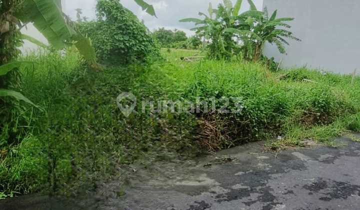 Land For Sale In Cekomaria, North Denpasar