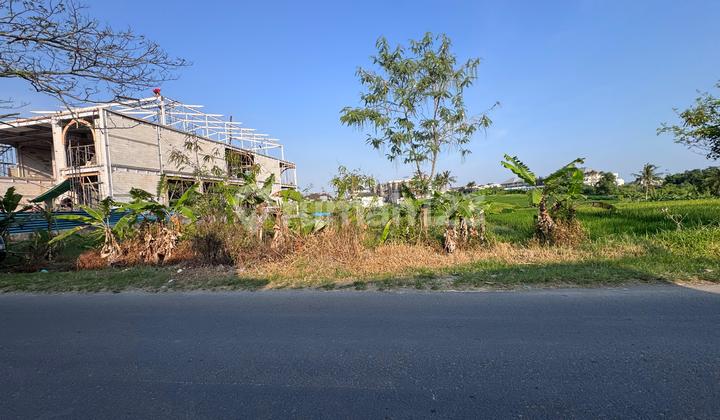 Leasehold Land 20 Are In Munggu Near Seseh Beach