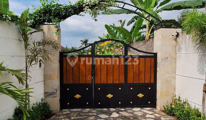 Forsale Big Land 15 Are Modern Villa 3 Br In Lovina Forsale Big Land 15 Are Modern Villa 3 Br In Lovina