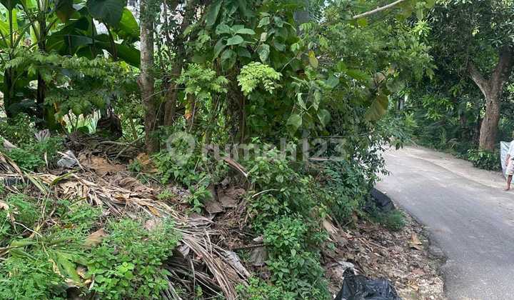 Leasehold Land 30 Are In Pecatu Near Savaya Leasehold Land 30 Are In Pecatu Near Savaya