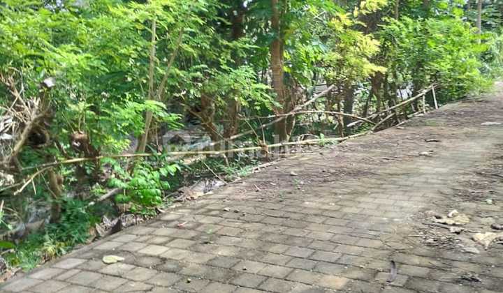 5 Are Leasehold Land in Pecatu Near Bulgari Resort