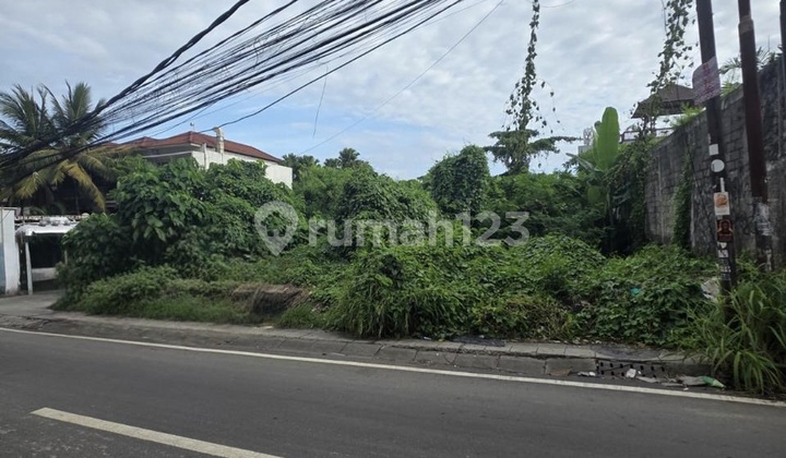 Leasehold Premium Land Main Road In Canggu Berawa