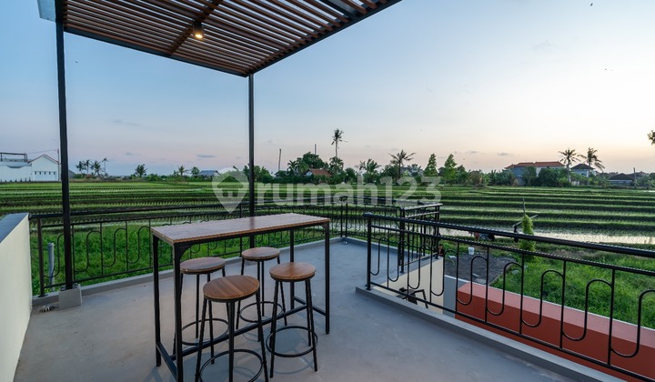 Monthly & Yearly Rent New Villa 2 Br In Pererenan Rice Field View