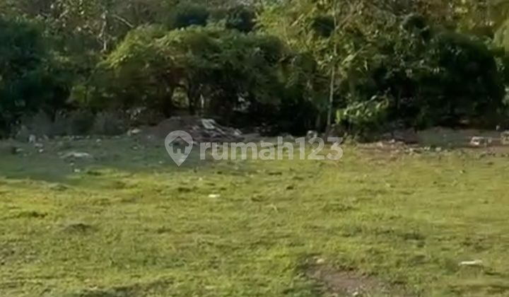 Freehold Land 3,5 Hektar Can Take Min 25 Are In Uluwatu Freehold Land 3,5 Hektar Can Take Min 25 Are In Uluwatu